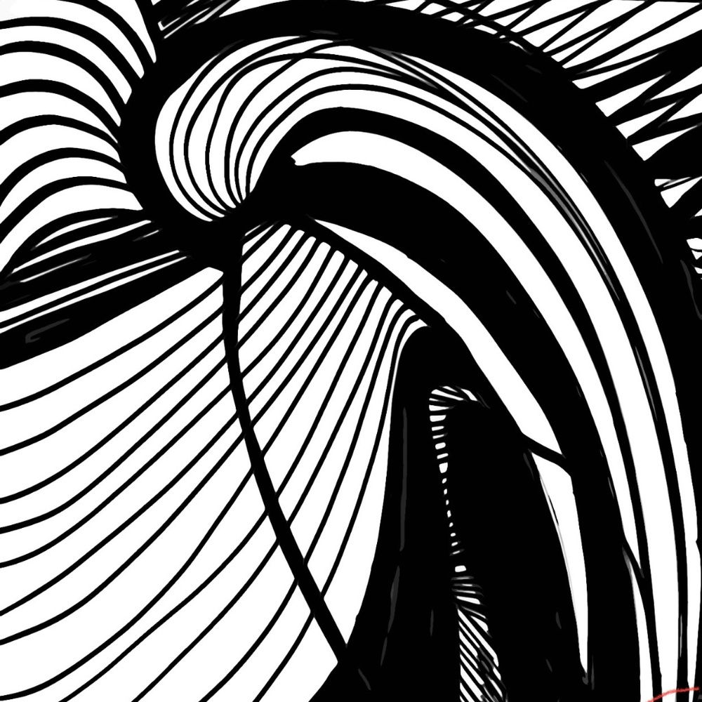 Abstract Black and White